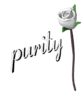 rose text purity