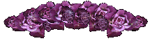 purple rose divider