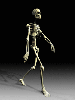 strolling skeleton