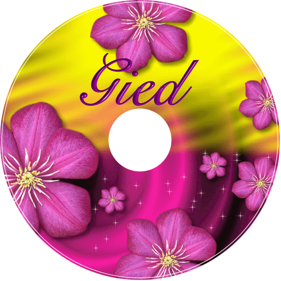 Gied