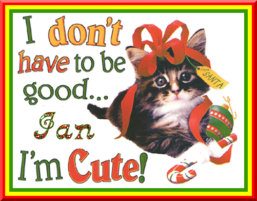 Jan ~ I Don't Have To Be Good I'm Cute!