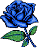 blue rose glitter