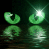 green blinking eyes