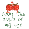 YOUR THE APPLE OF MY EYE/APPLES