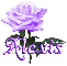 purple rose alexis