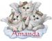 Angel Kittens - Amanda