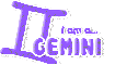 I am a gemini