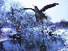 black pegasus snowing