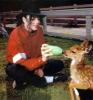 Michael Jackosn feeding an Bambi milk