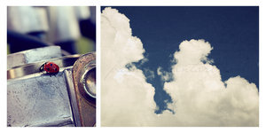 ciel