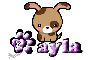 Dog - Kayla