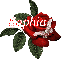 Butterfly Red Rose - Sophia