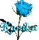 blue rose kanika