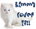 White cat: Kimmy loves it!