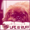 Life is ruff