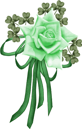 IRISH GREEN ROSE