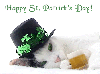 Kitty-Happy St. P. Day