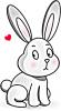 baby bunny(L)