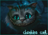 Cheshire Cat 2O1O