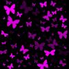 butterflys Contest2 gg background