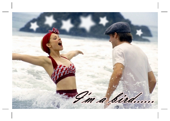 The Notebook