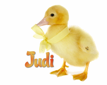 Duck Judi