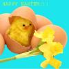 EASTER CHICK