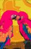 -colorful-parrots