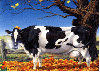 cold cow in fall
