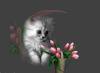  kitten sitting by budding tulips in a vase