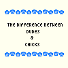 dudes and chicks