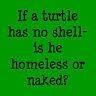 Homeless/Naked Turtle?