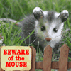 BEWARE OF THE MOUSE