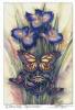 Butterfly Bergsma Art