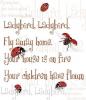 Ladybird poem