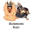 dachshunds rule