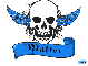 walter blue skull