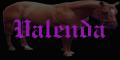 Valenda with a horse