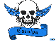 carolyn blue skull
