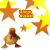 I â™¥ Ducks 