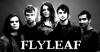 Flyleaf 