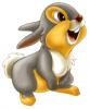 Cute Thumper