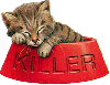 Killer the cat