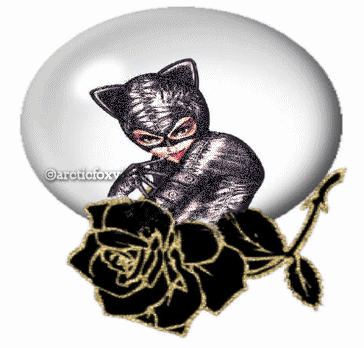 Catwoman in snowglobe