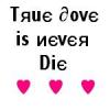 true love is never Die