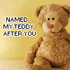 cute teddy