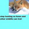 Stop Hunting