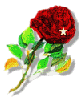 Rose with star