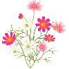 Flower of love