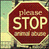 Stop Sign, Animal Abuse
